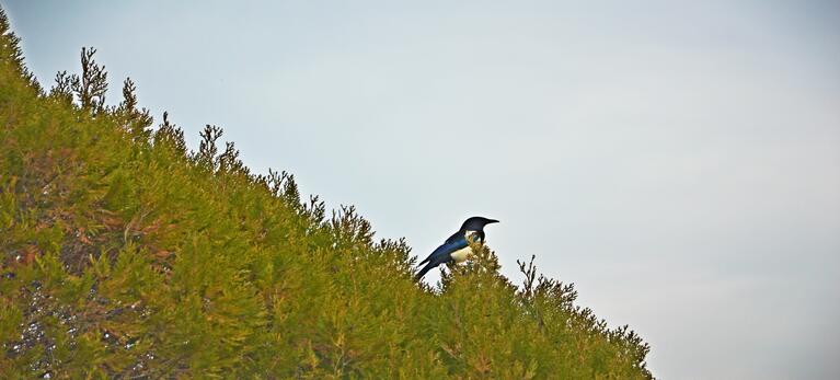 电子游戏app官网下载