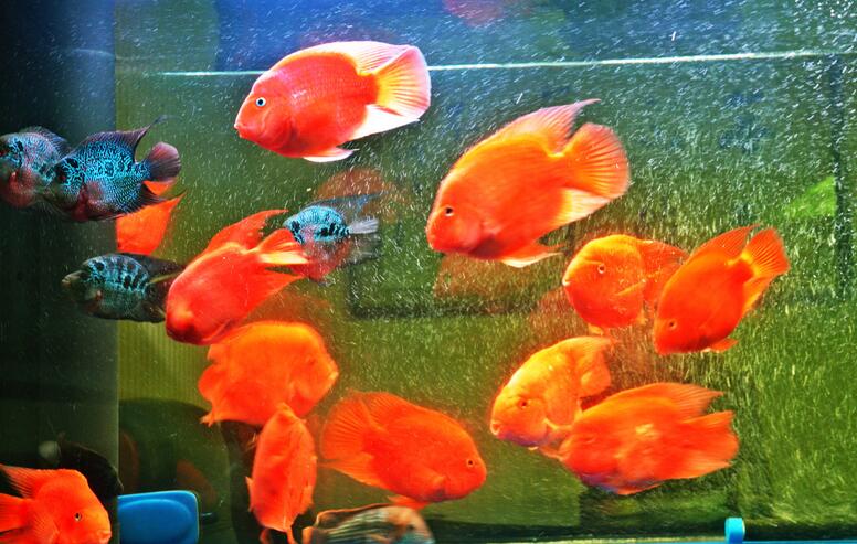 电子游戏app官网下载