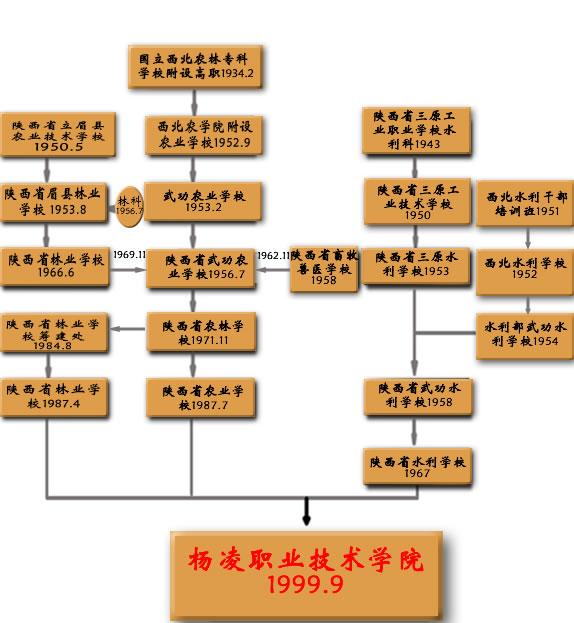 电子游戏app官网下载