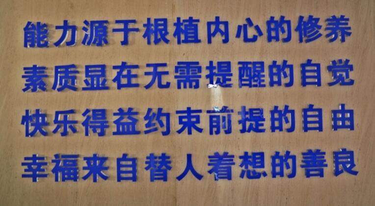 电子游戏app官网下载