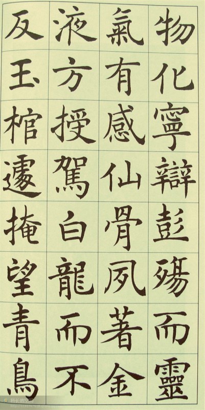 电子游戏app官网下载