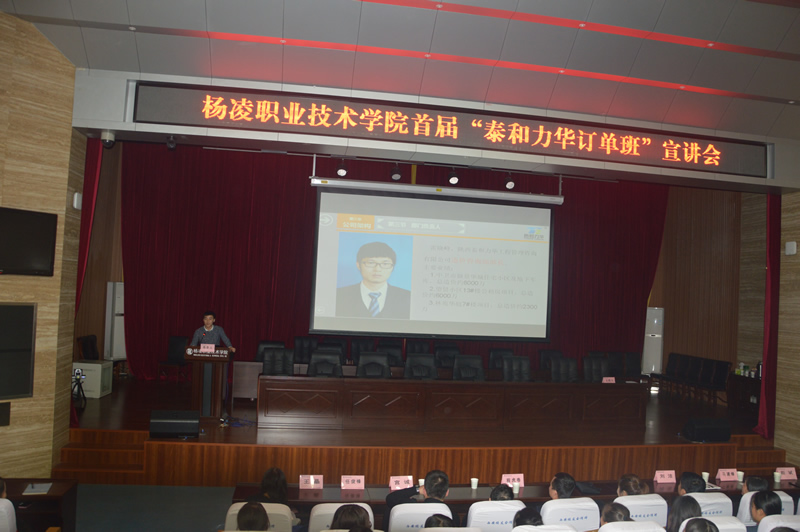 电子游戏app官网下载