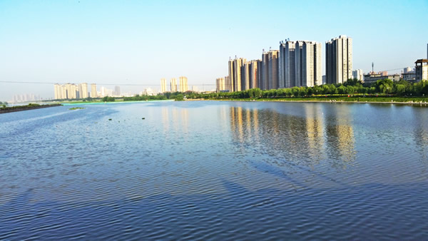 电子游戏app官网下载