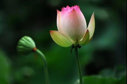 电子游戏app官网下载