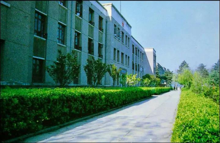 电子游戏app官网下载