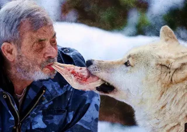 电子游戏app官网下载