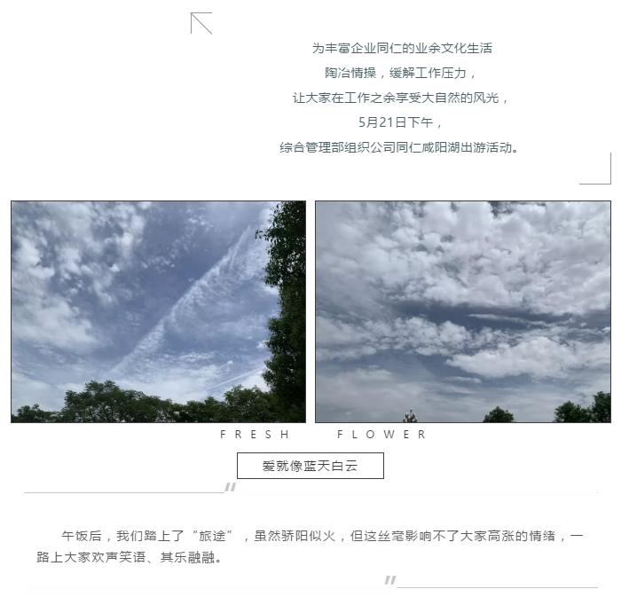 电子游戏app官网下载
