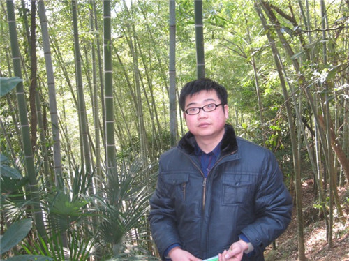 电子游戏app官网下载