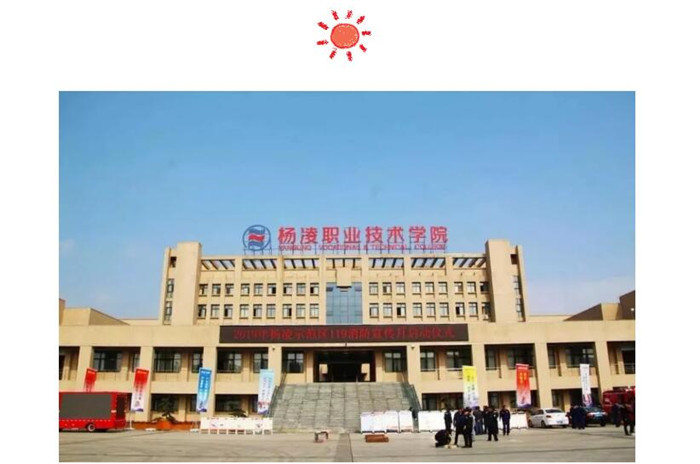 电子游戏app官网下载