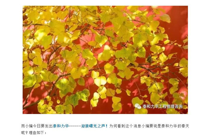 电子游戏app官网下载