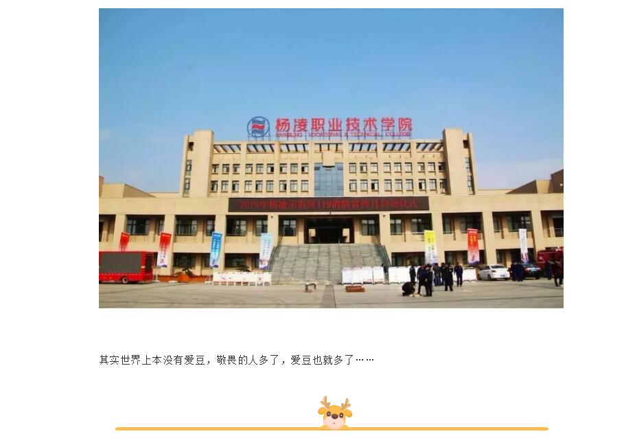 电子游戏app官网下载