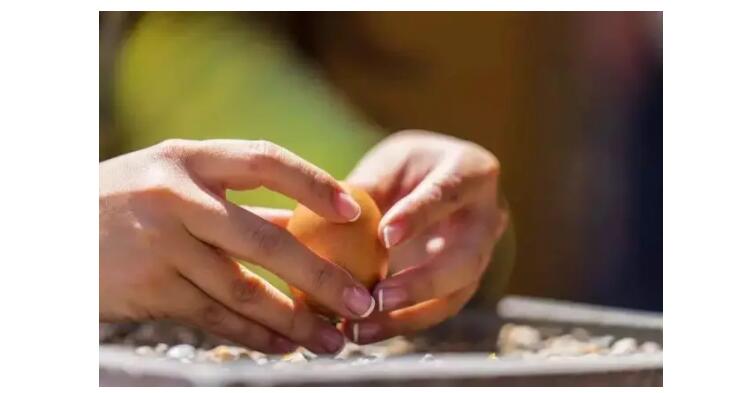 电子游戏app官网下载