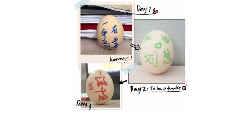 电子游戏app官网下载