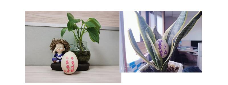 电子游戏app官网下载