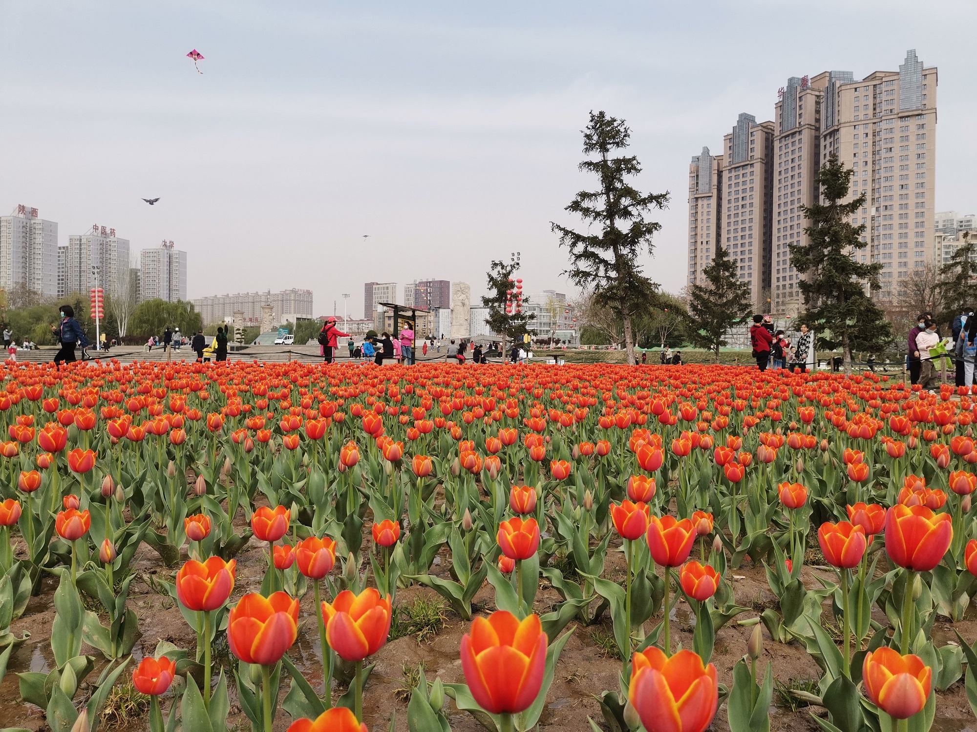 电子游戏app官网下载