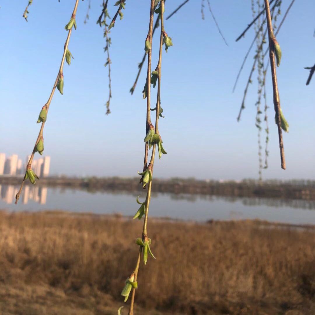 电子游戏app官网下载