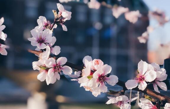 电子游戏app官网下载
