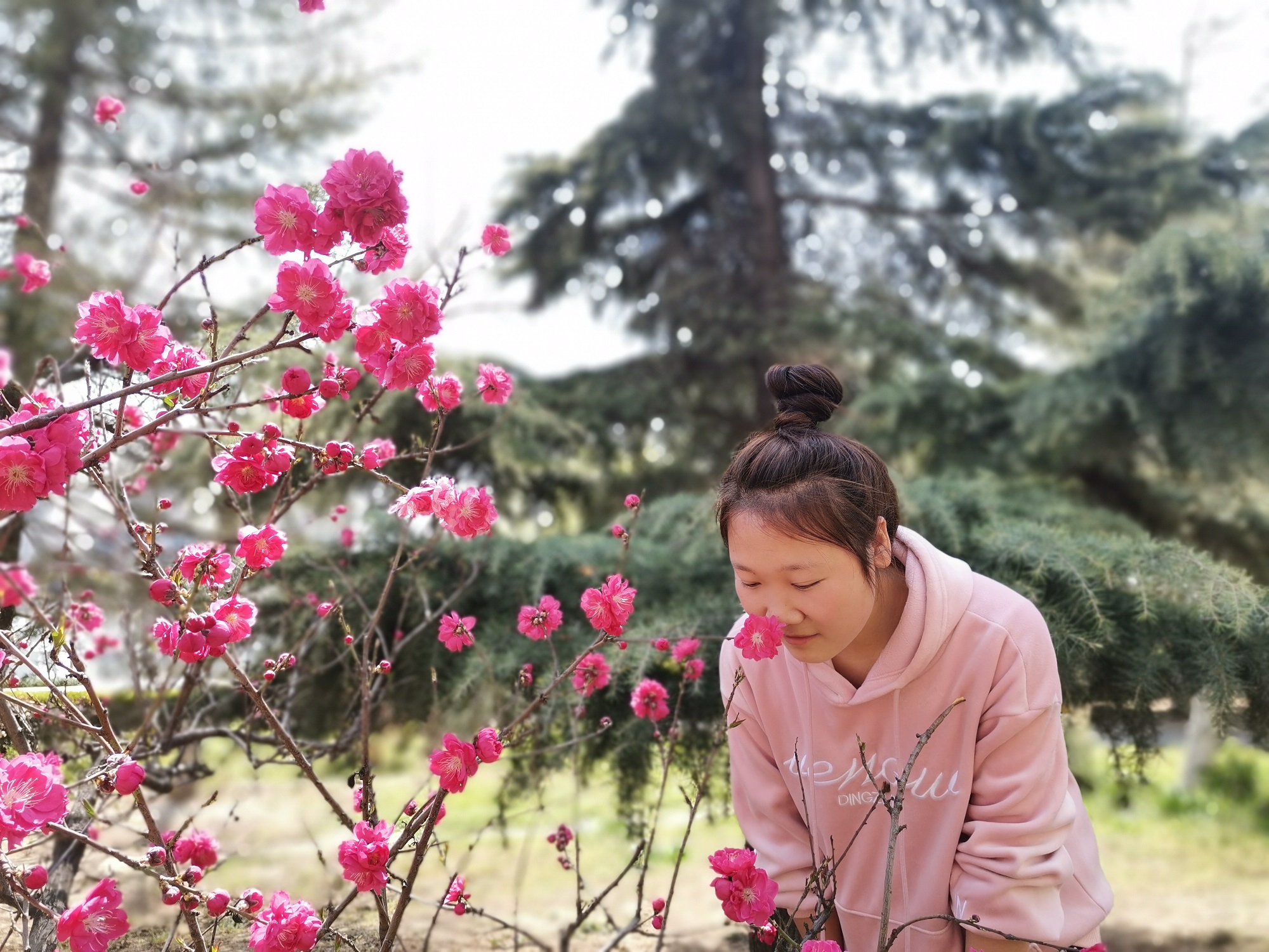 电子游戏app官网下载