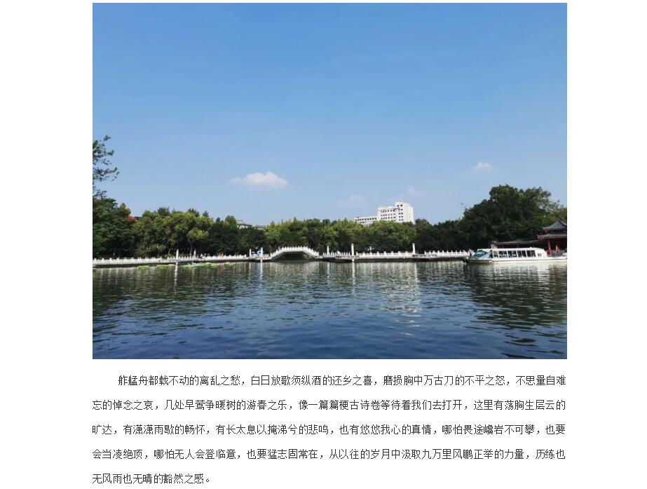 电子游戏app官网下载