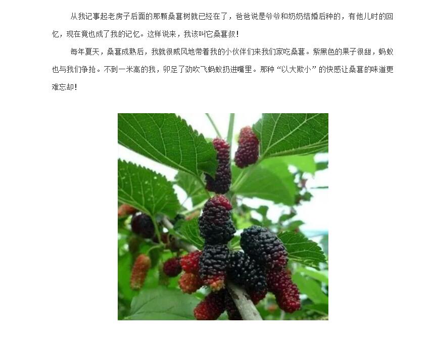 电子游戏app官网下载