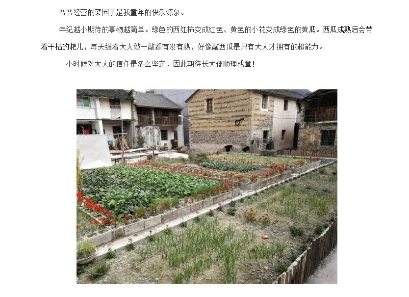 电子游戏app官网下载