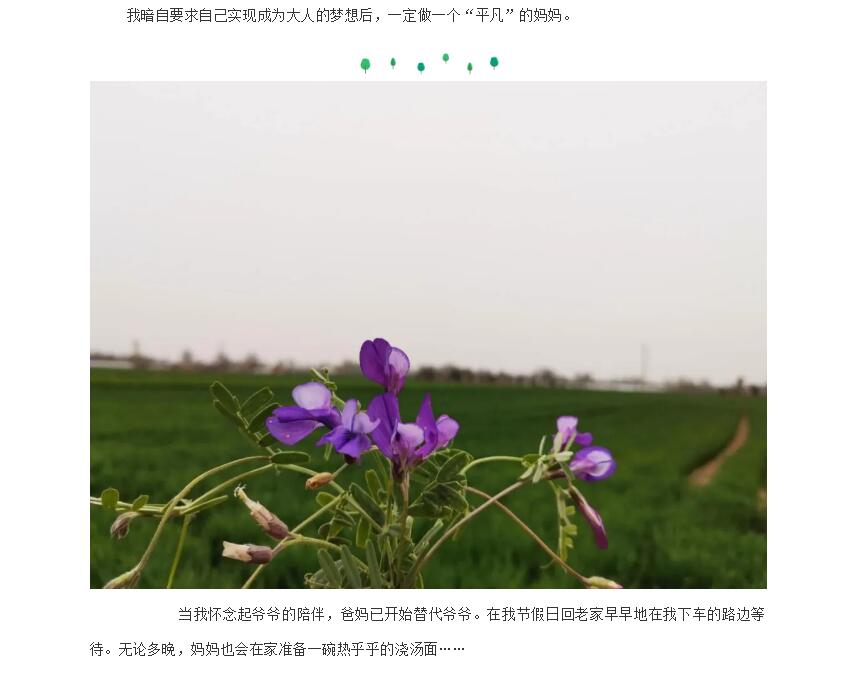 电子游戏app官网下载