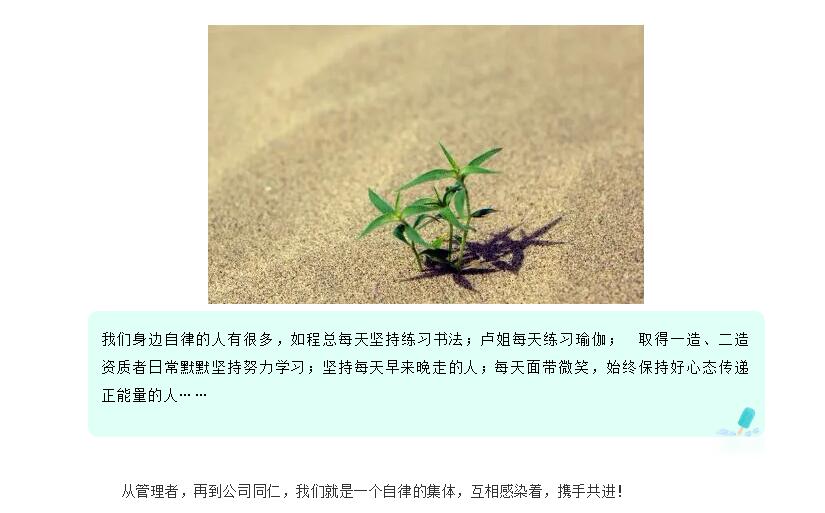 电子游戏app官网下载