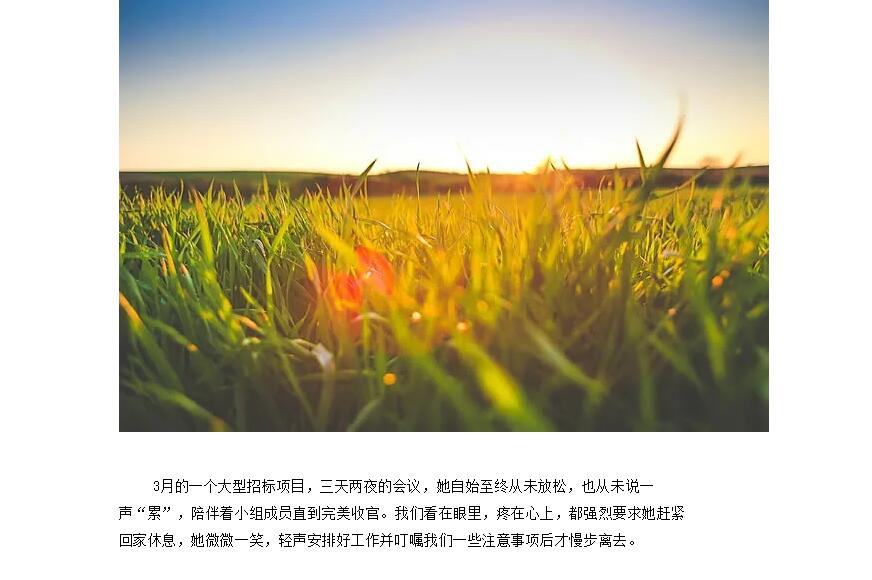 电子游戏app官网下载