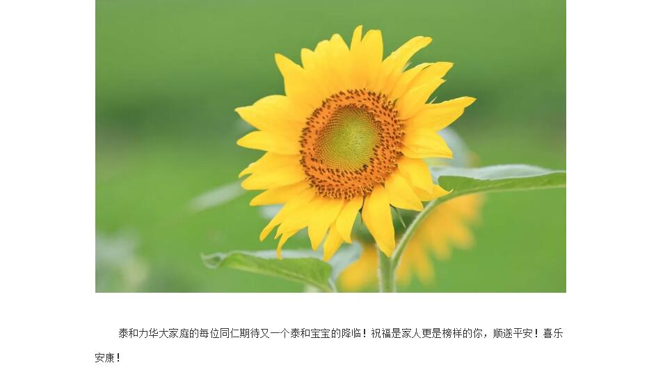 电子游戏app官网下载