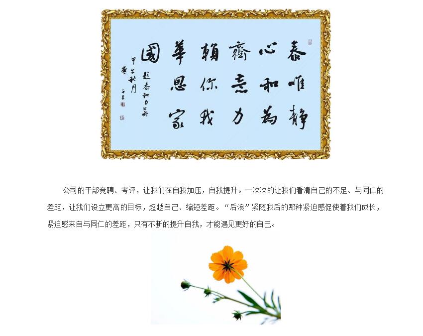 电子游戏app官网下载
