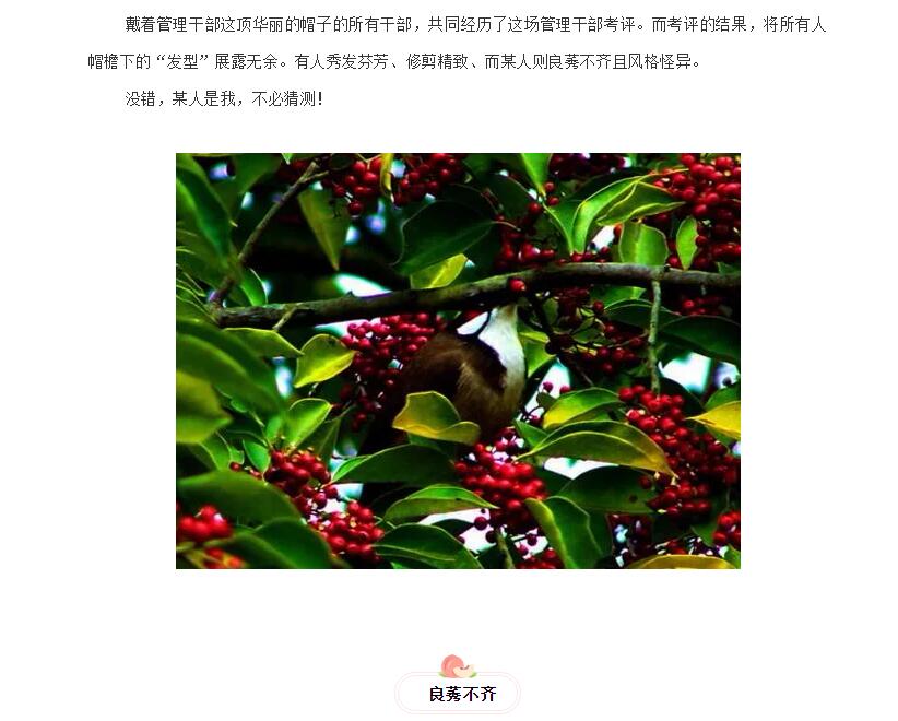 电子游戏app官网下载