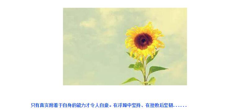 电子游戏app官网下载