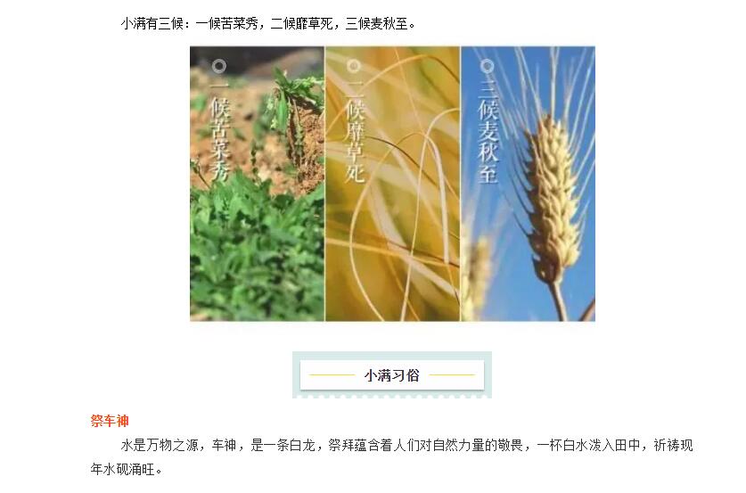 电子游戏app官网下载