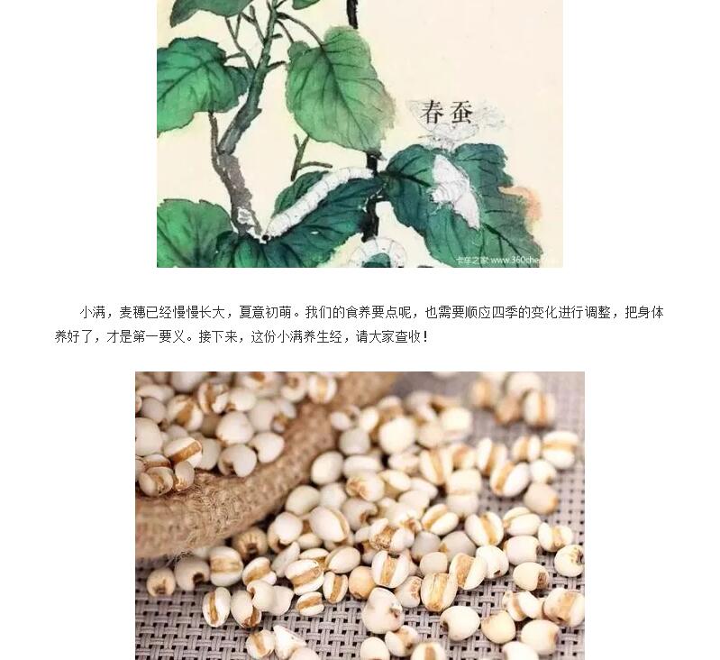 电子游戏app官网下载