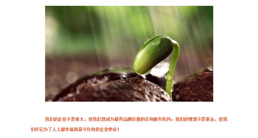 电子游戏app官网下载