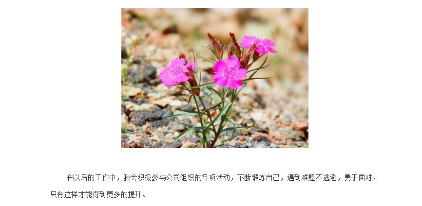 电子游戏app官网下载
