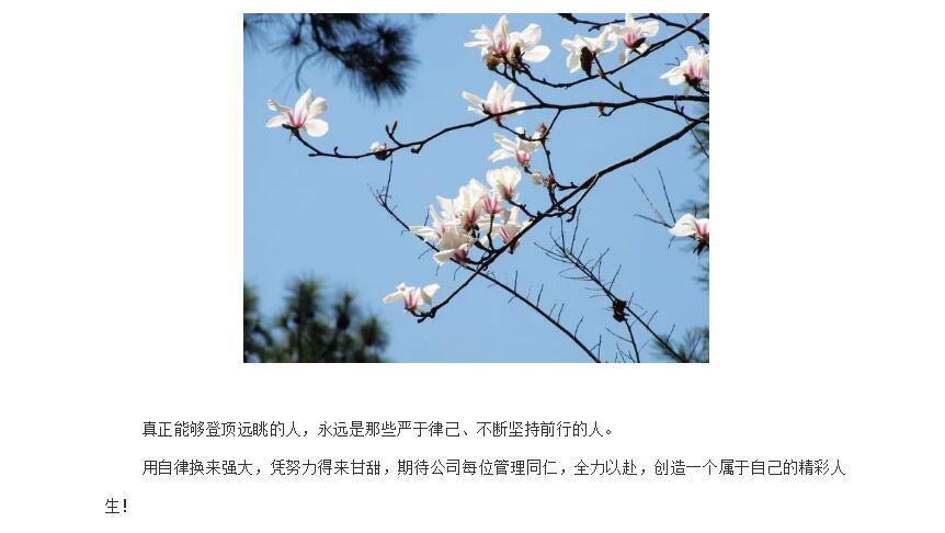 电子游戏app官网下载