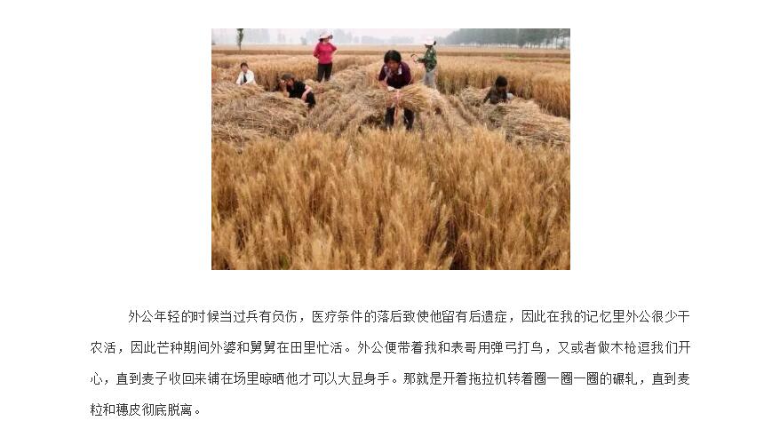 电子游戏app官网下载