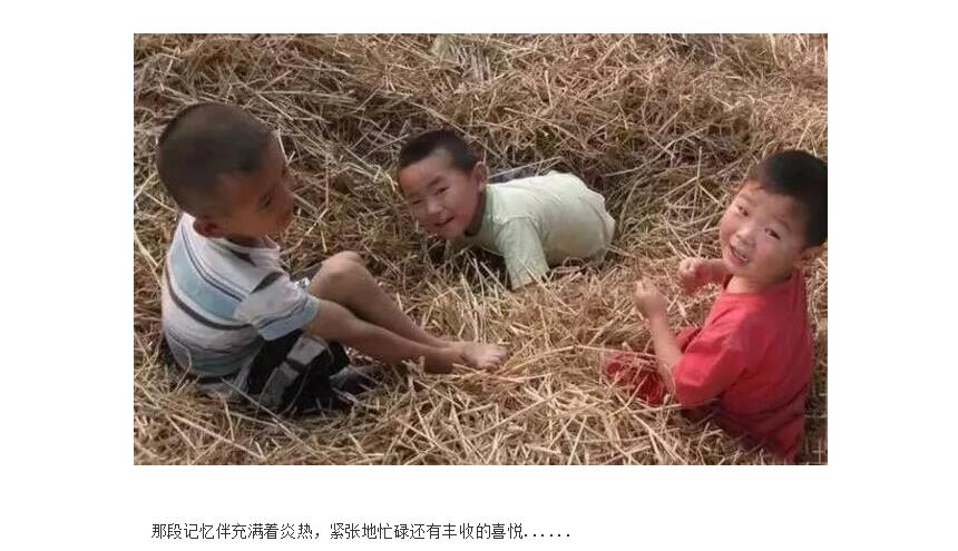 电子游戏app官网下载