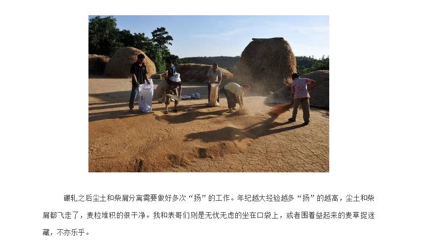电子游戏app官网下载