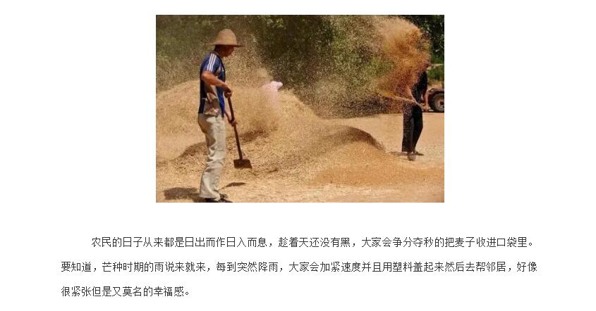 电子游戏app官网下载