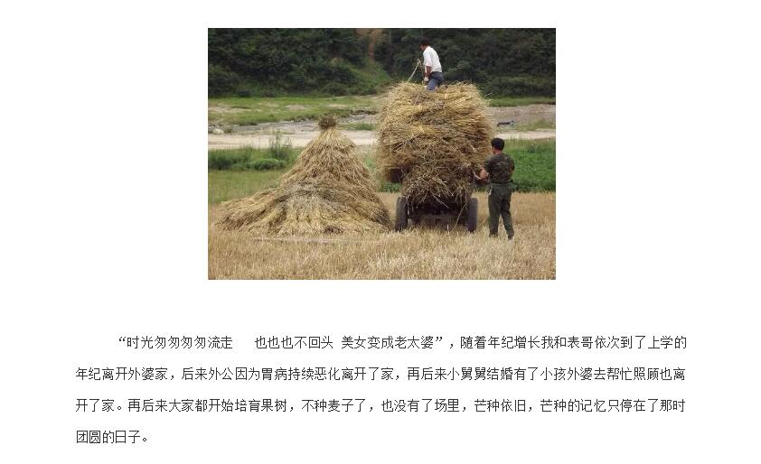 电子游戏app官网下载