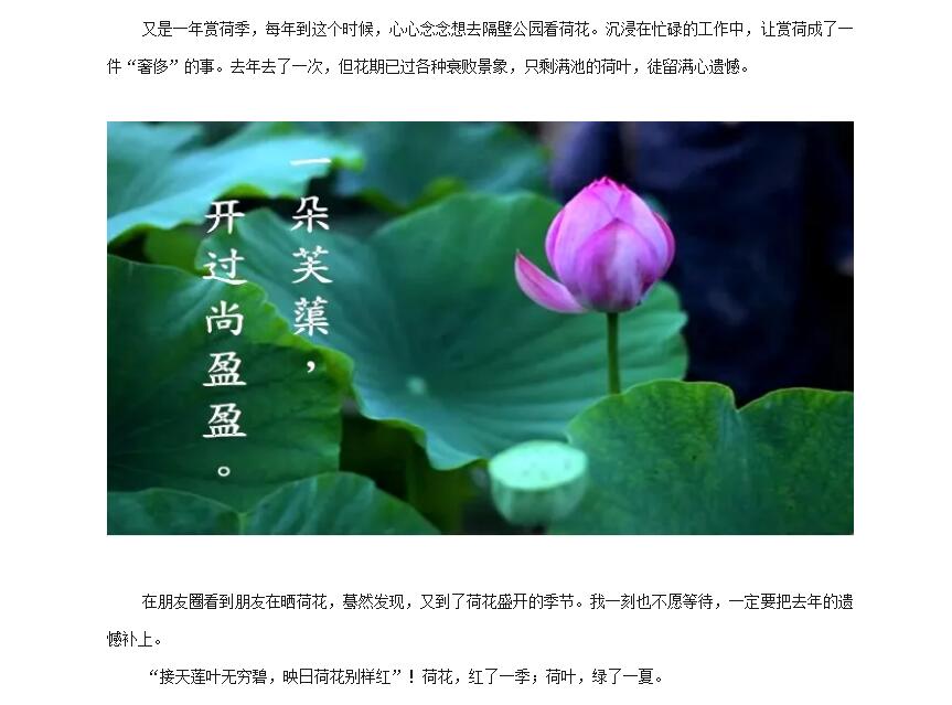 电子游戏app官网下载