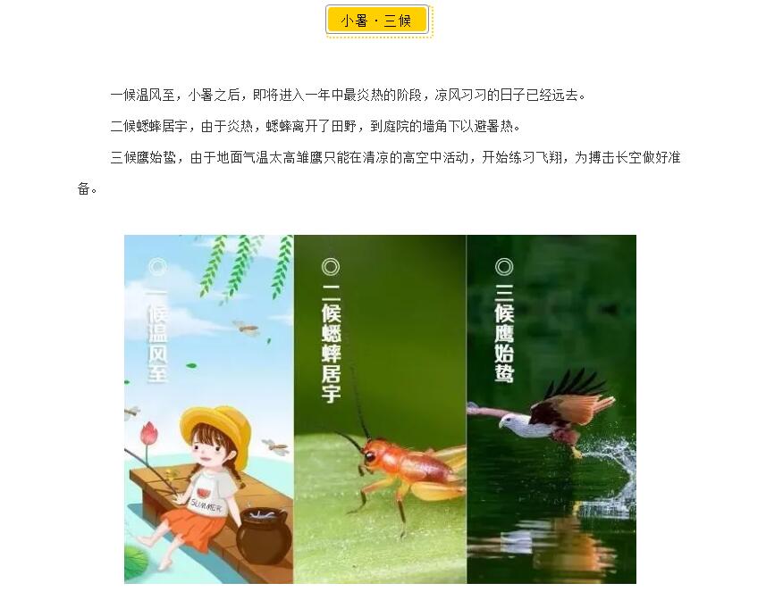 电子游戏app官网下载
