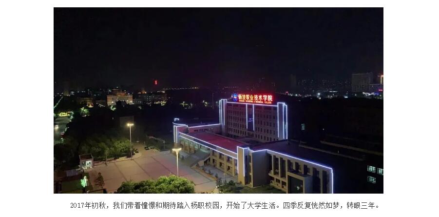 电子游戏app官网下载