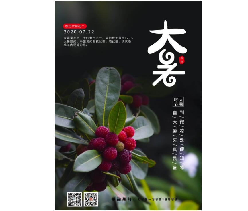 电子游戏app官网下载