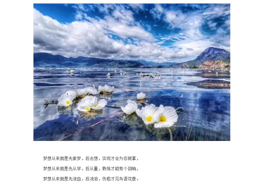 电子游戏app官网下载