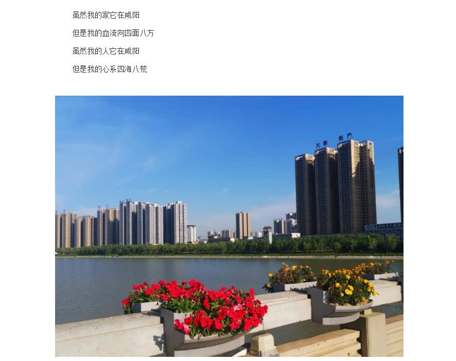 电子游戏app官网下载