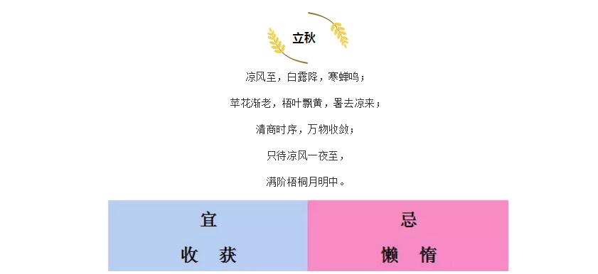 电子游戏app官网下载