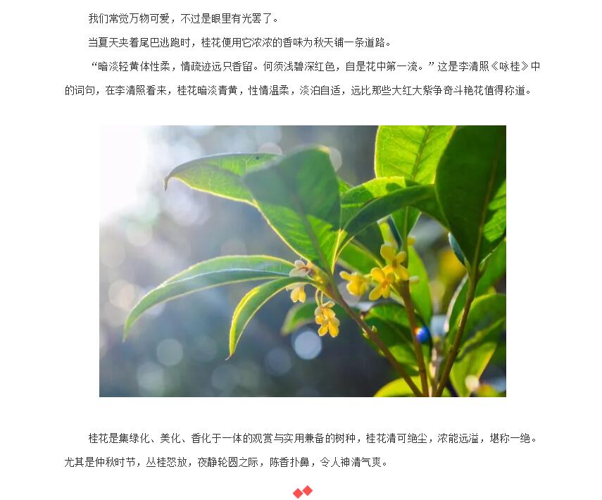 电子游戏app官网下载